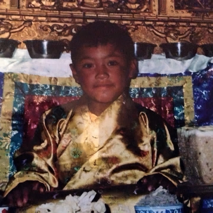 Young Jamtul Rinpoche